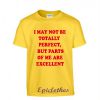 May not be totally perfect t-shirt