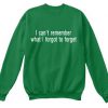 I Cant Remember What I Forgot to forget Sweatshirt