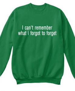 I Cant Remember What I Forgot to forget Sweatshirt
