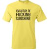 I'm A Ray of Fucking Sunshine T shirt