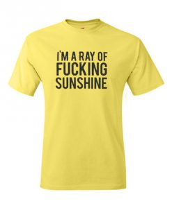 I'm A Ray of Fucking Sunshine T shirt