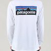 Patagonia Back Logo sweashirt