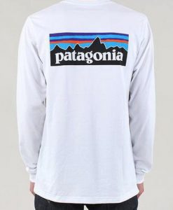 Patagonia Back Logo sweashirt