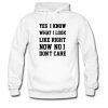 yes i know what i look right now hoodie