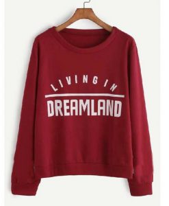 Living In Dreamland Sweaterr