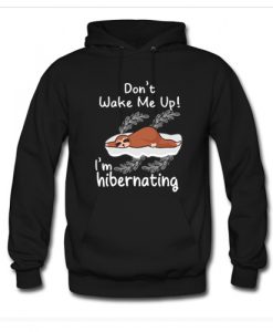 Dont Wake Me Up I'm Hibernating Hoodie