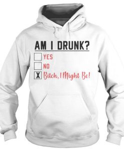 Am I drunk yes no Bitch I Might Be Hoodie