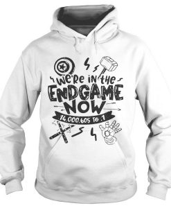 We’re in the Endgame now 14000605 to 1 Hoodie