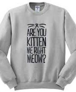 are you kitten me right meow sweatshirt