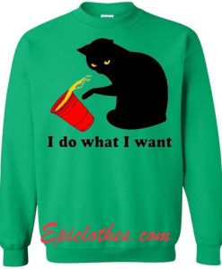 Cat I Do What I want Sweatshirt