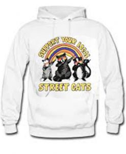 Dabbing Raccoon support your local street cats Hoodie