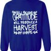 Small Seeds of Gratitude Quote Sweatshirt