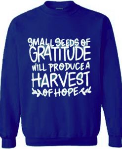 Small Seeds of Gratitude Quote Sweatshirt