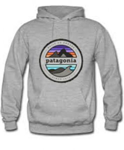 Built To Endure Patagonia Est 1973 hoodie