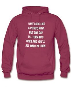 I May Look Like A Potato Now Quote Hoodie