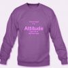 I Don't Need Your Attitude I Got One Of My Own Type Sweatshirt