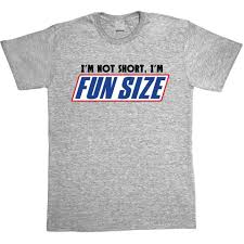 I'm not Short I'm Fun Size T Shirt