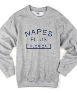 napes Fl US florida sweatshirt