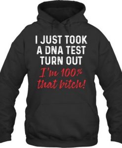 I Just Took A DNA Test Hoodie