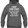 I May Look Calm But in My Head Hoodie