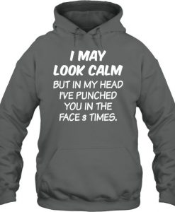I May Look Calm But in My Head Hoodie