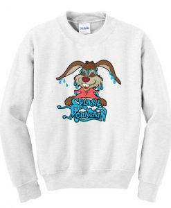 Splash Mountain Rabbit Sweatshirt