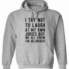 I Try Not To Laugh At My Own Joke Hoodie