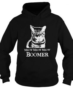 Meow Meow Meow Boomer hoodie