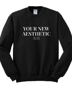 Your New Aesthetic Japanese sweater