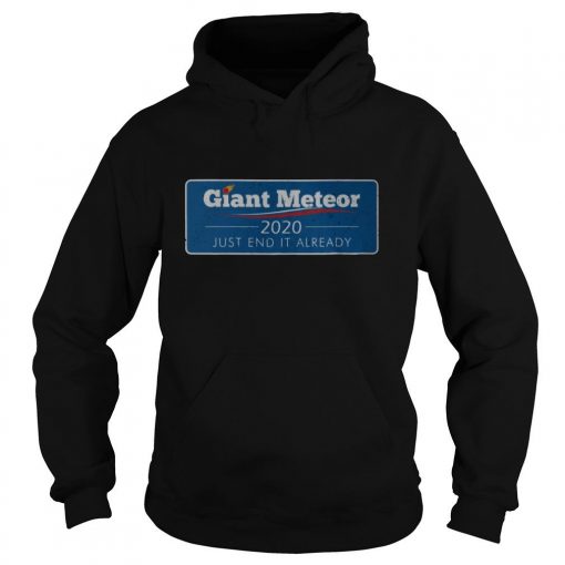 Giant Meteor 2020 Just End It Already hoodie