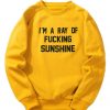 I'm A Ray Of Fucking Sunshine Sweatshirt