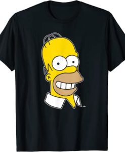 The Simpsons Homer Simpson Face T-Shirt